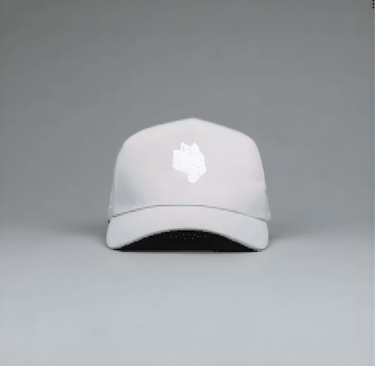 Darc Sport 3 Burning Roses 5 Panel Hat - Quartz